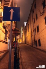 IMG_8927.jpg