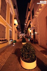 IMG_8949.jpg