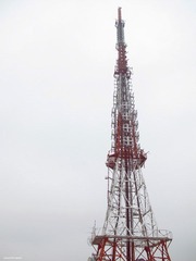 IMG_1150.jpg