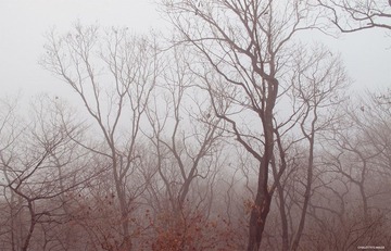 IMG_1128.jpg