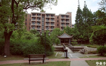 IMG_2927.JPG
