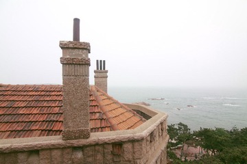 IMG_3321.jpg