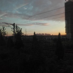 604495