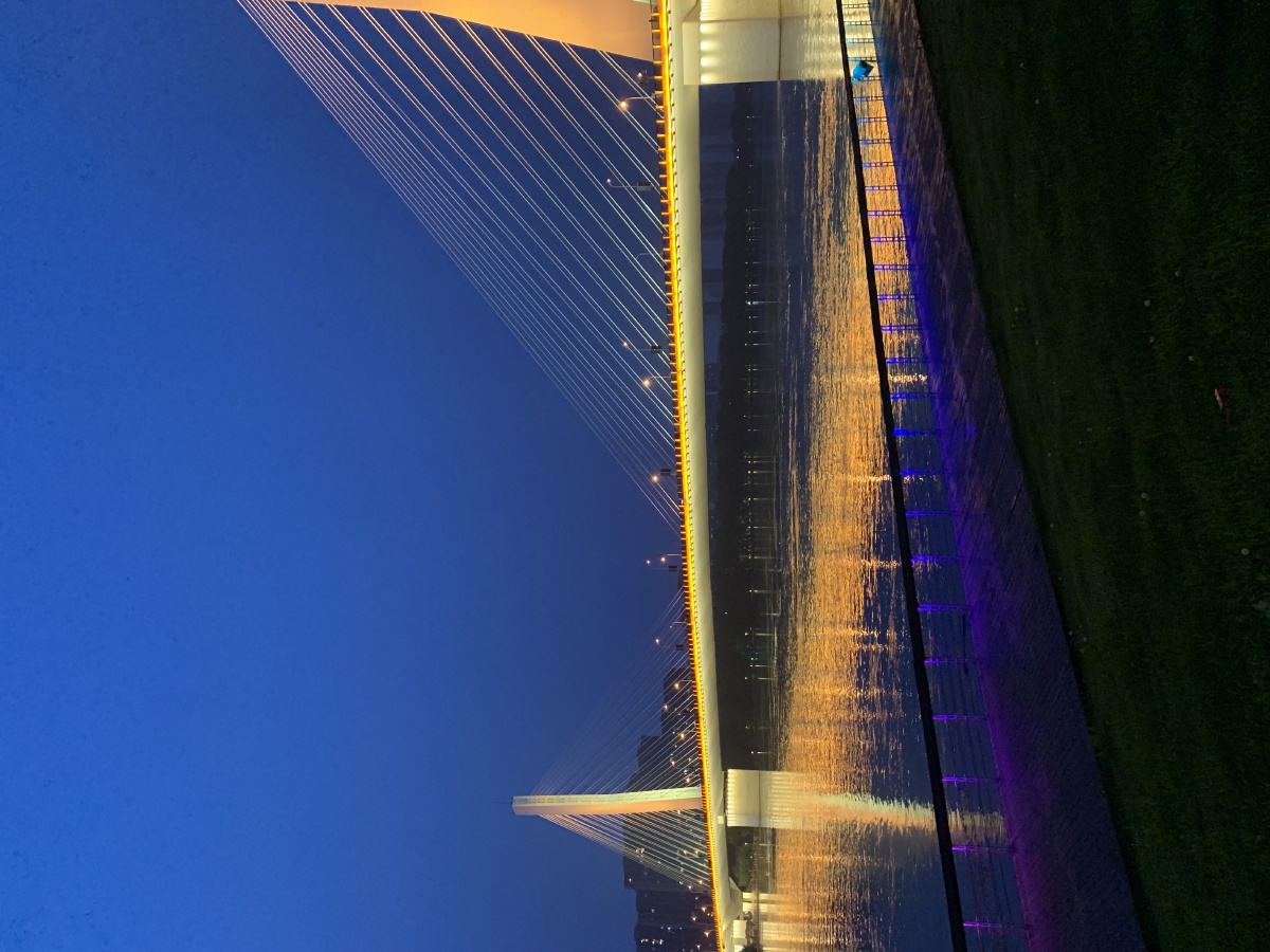 手机实拍,辽宁沈阳 富民桥 - 沈阳凤姐 - 图虫