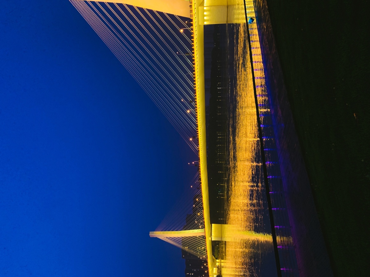 沈阳富民桥夜景