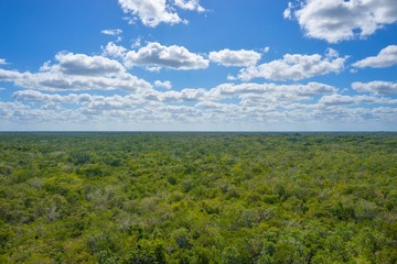 _DSC7544.jpg