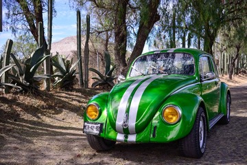 _DSC9600.jpg