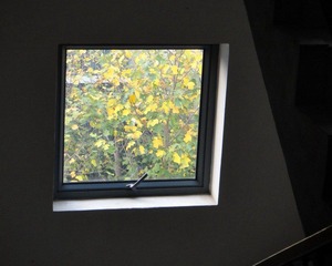 01048.jpg