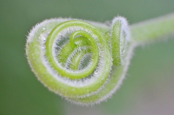 照片 033.jpg