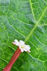 照片 042.jpg