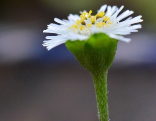 照片 048.jpg