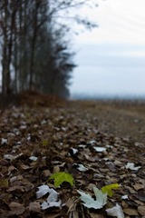 L1003477.jpg