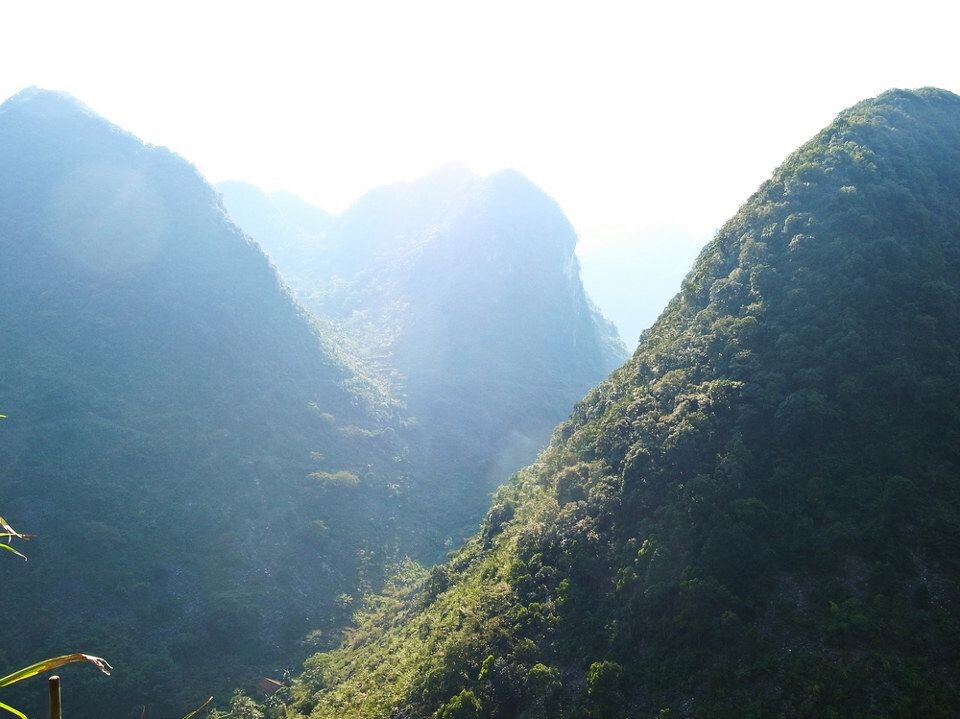 R0015907<br />
