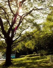 201111271023.jpg