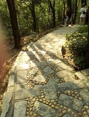 201111271037.jpg