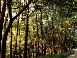 201111271038.jpg