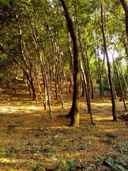 201111271042.jpg