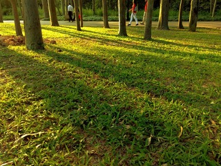 201111271044.jpg