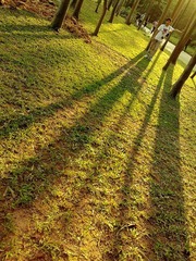 201111271048.jpg
