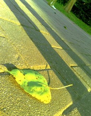 201111271050.jpg