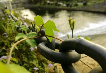 201111271054.jpg