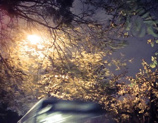 20070306108.jpg