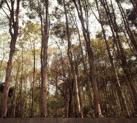 20110425446.jpg