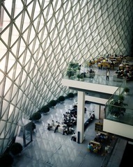 20110705824.jpg