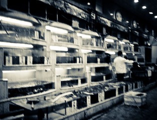 201203271303.jpg