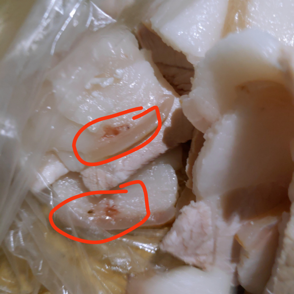 藏在猪皮下面的寄生虫见过吗