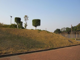 IMG_0703.JPG