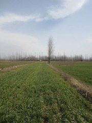 IMG_1409.JPG