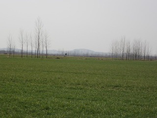 IMG_1416.JPG