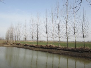 IMG_1427.JPG