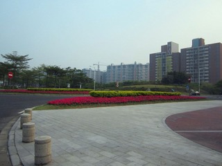 IMG_3645.jpg