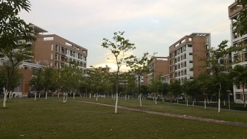 IMG_20121205_172349_