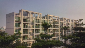 IMG_20130112_081543_