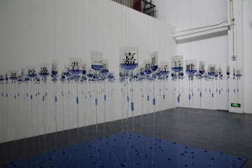 IMGP8368.JPG