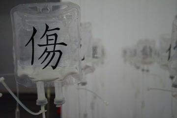 IMGP8389.JPG