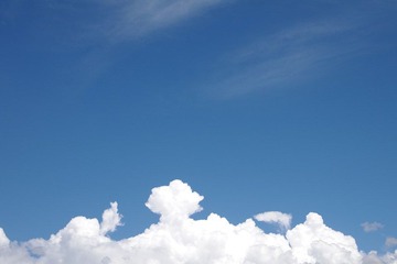 IMGP5593.JPG