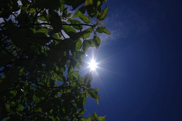 IMGP5602.JPG