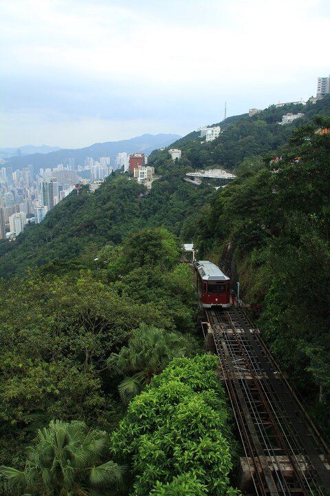 太平山顶<br />
