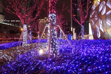 IMG_6285_副本.jpg
