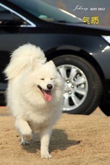 IMG_4664_副本.jpg