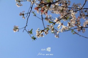 IMG_6854_副本.jpg