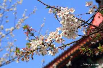 img_6814_副本.jpg