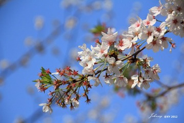 IMG_6819_副本.jpg