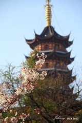 IMG_6829_副本.jpg