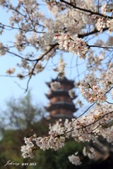 IMG_6835_副本.jpg