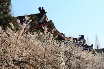 IMG_6859_副本.jpg